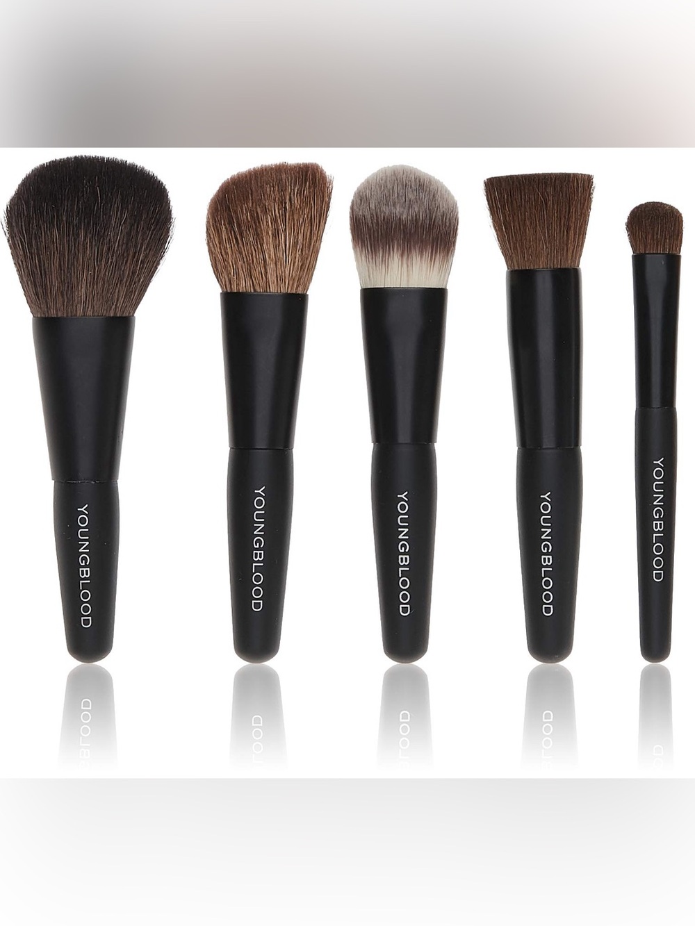 Youngblood Professional mini 6pc brush set